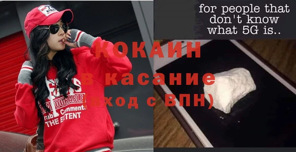 сатива Костерёво