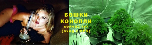 Альфа ПВП Корсаков