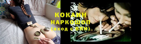 сатива Костерёво