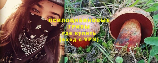 молекула духа Коряжма