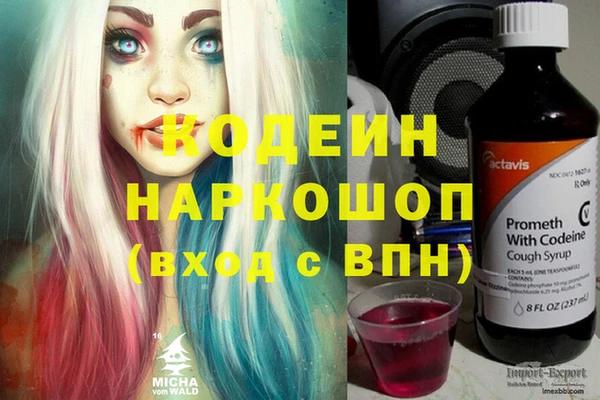 молекула духа Коряжма