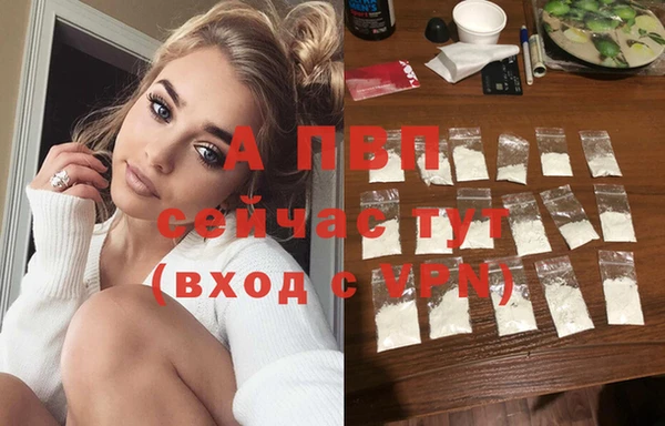 сатива Костерёво