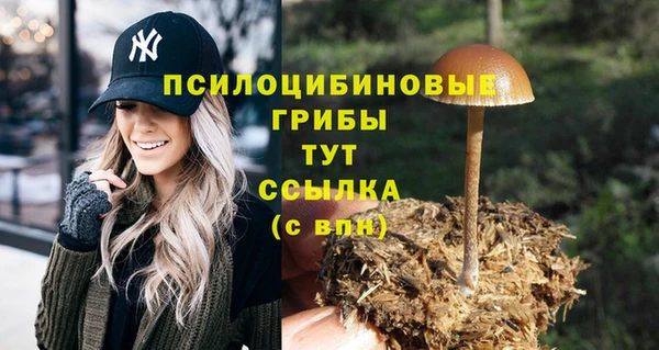 сатива Костерёво