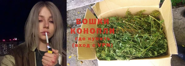 молекула духа Коряжма